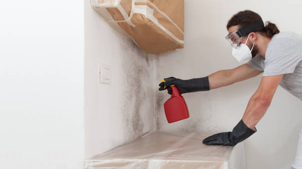 Professional Mold Testing technician working in Lewistown, IL