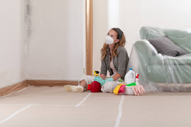 Reliable Mold Testing contractor in Lewistown, IL by WQB Mold Removal